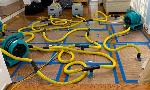 Professional Burst Pipe Water Damage technician working in Farmington, MS